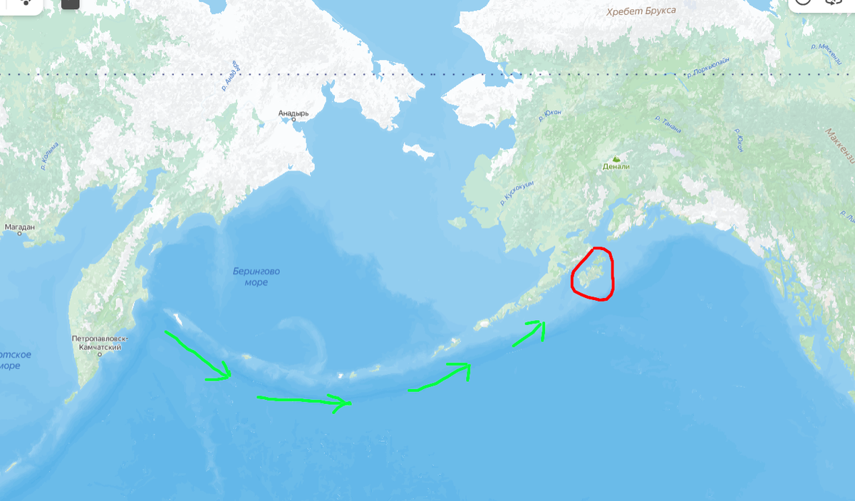 Карта сверотихоокеанского региона. Зелеными стрелками указан путь продвижения сибирских промышленников вдоль гряды Алеутских островов. Красным цветом обозначен остров Кадьяк - будущая столица Русской Америки. Фото автора. 