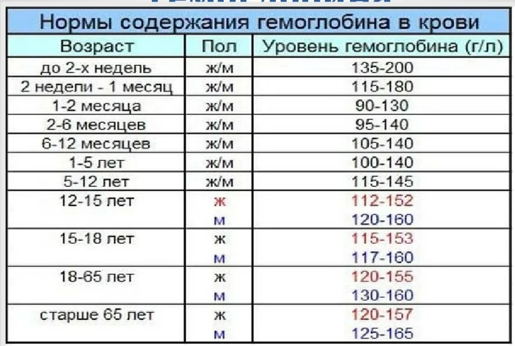 Клинический анализ крови - что он показывает, расшифровка нормы у детей, мужчин 