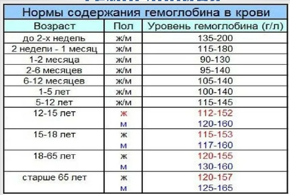 Гемоглобин играет важную роль в поддержании здоровья, поскольку обеспечивает эффективную транспортировку кислорода от легких к другим органам и тканям.-7