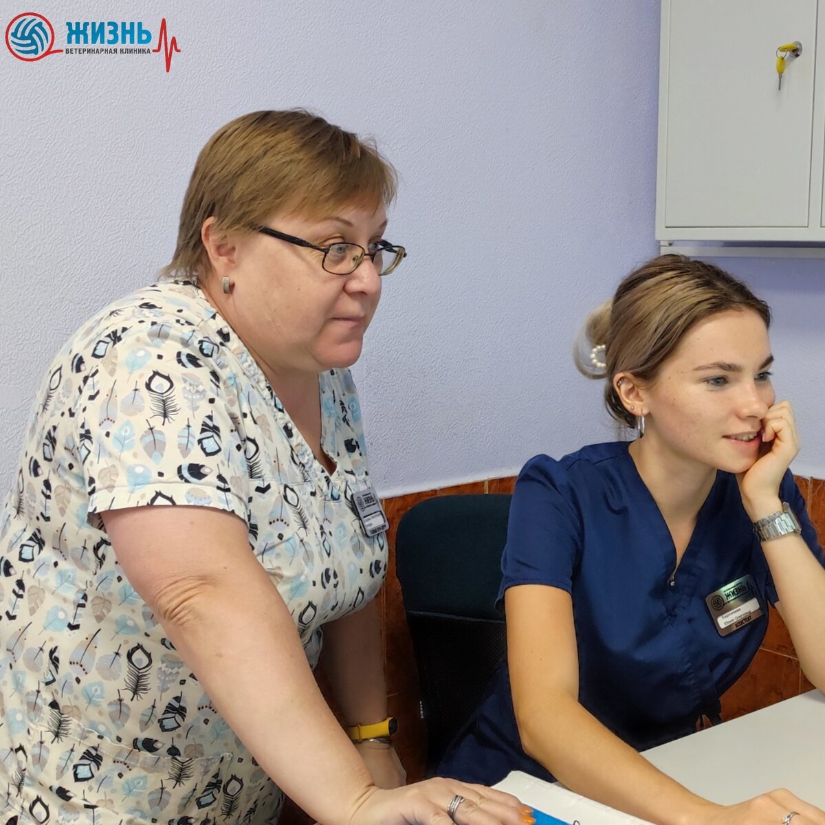 Неврологический осмотр в ветеринарной клинике в Калуге "Жизнь" проводится как в экстренном порядке, так и по предварительной записи.