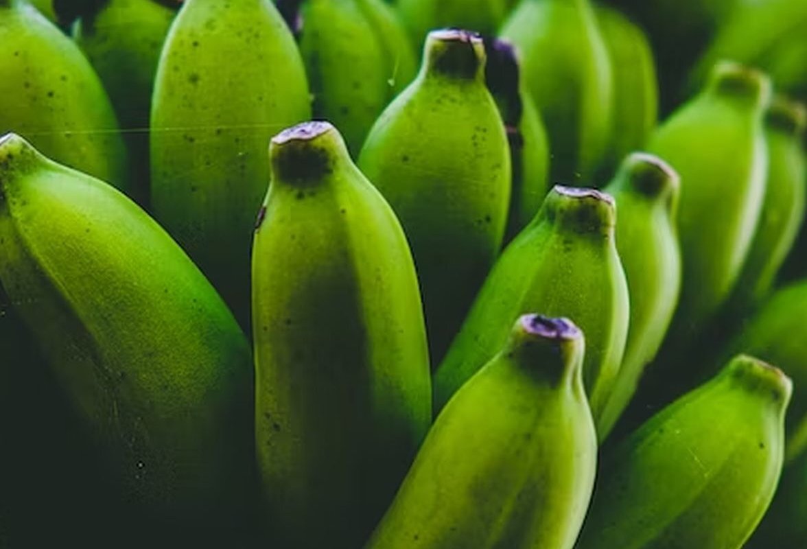 Врач Маргарита Проворотова: зеленые, немного недозревшие бананы по ряду показателей полезнее для организма, чем очень спелые.
