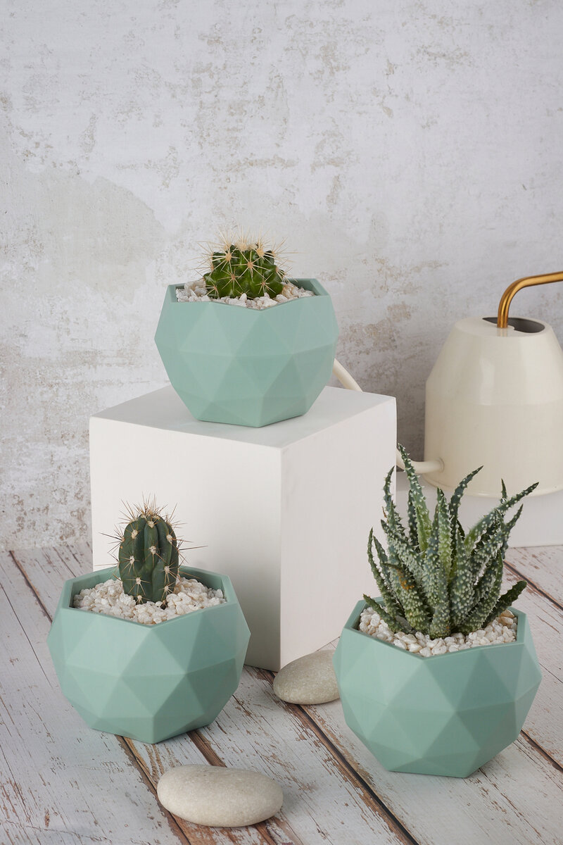 арт. 174510978 на Вайлдберриз. Горшки для цветов суккулентов маленькие, 3шт, 0.45л