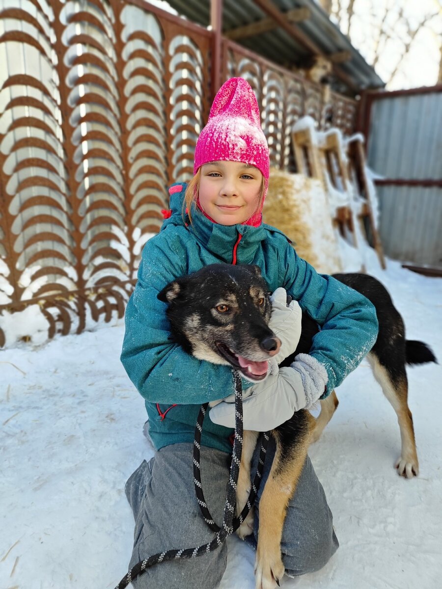 Девушка обнимает собаку. Объятия с собакой. Как стать другом собаке. Как стать другом собаке. Играющие щенки.