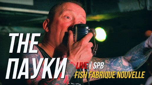 THE ПАУКИ - КОНТРОЛЬ (LIVE) | Fish Fabrique Nouvelle | SPB. 29.09.2023