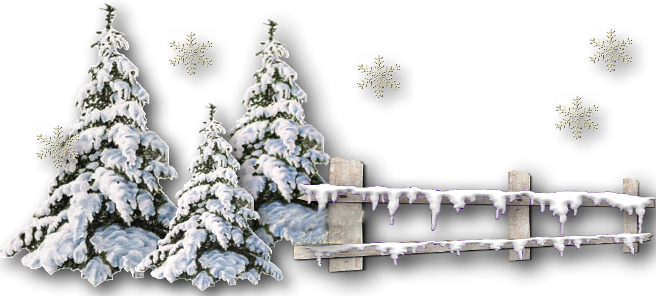 Зимушка зима..❄️