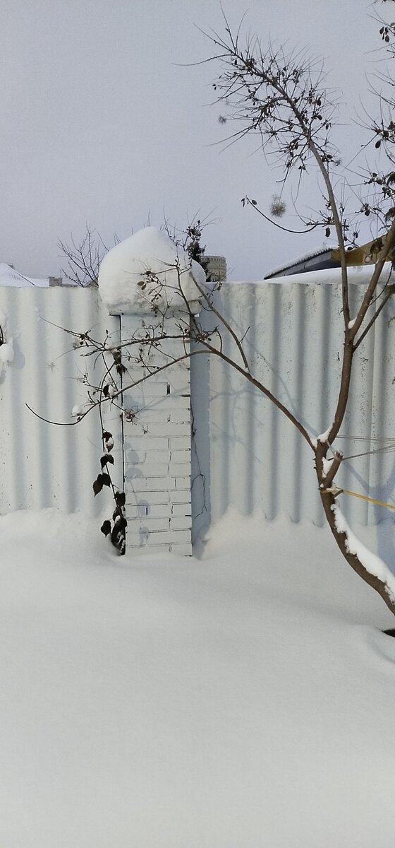 Личное фото