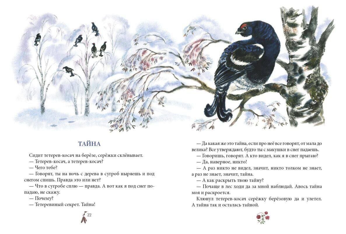 Фотография взята из открытых источников.