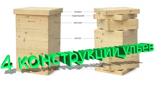 Профессор Кашковский: Принятие 4 основных конструкций улья