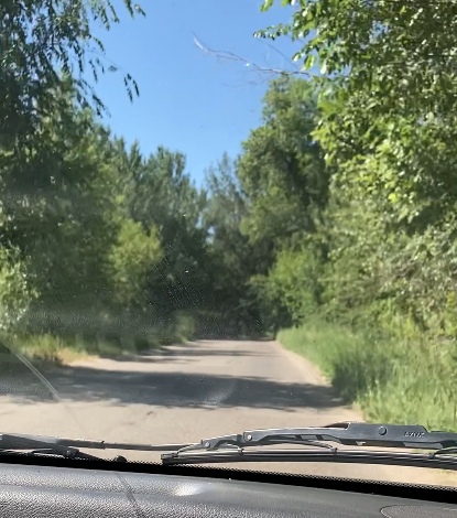 Это мы с Санькой в Сахарный ездили.