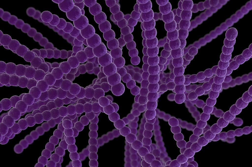 Создан пробиотик, защищающий организм от заражения стрептококком | FBM ...