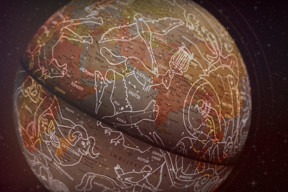  Photo by Vedrana Filipović on Unsplash