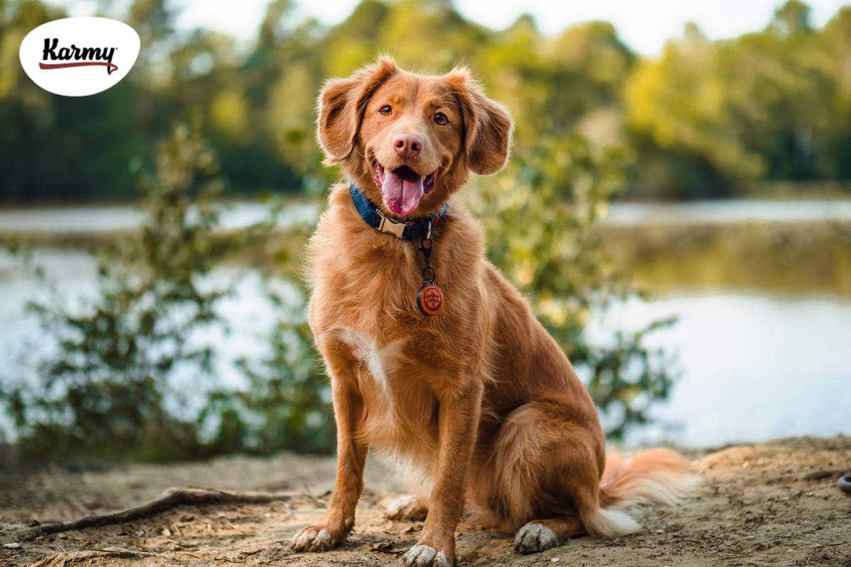 Авторское изображение с использованием картинки с фотостока "Unsplash" 