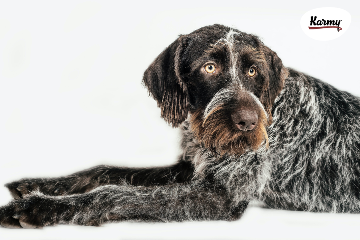 Авторское изображение с использованием картинки с фотостока "Unsplash" 