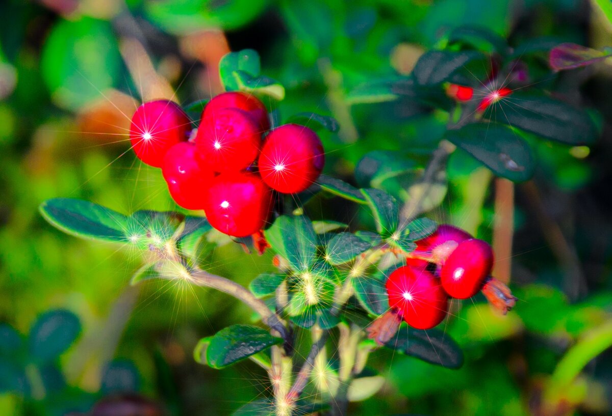 Фото: Павел Борисов