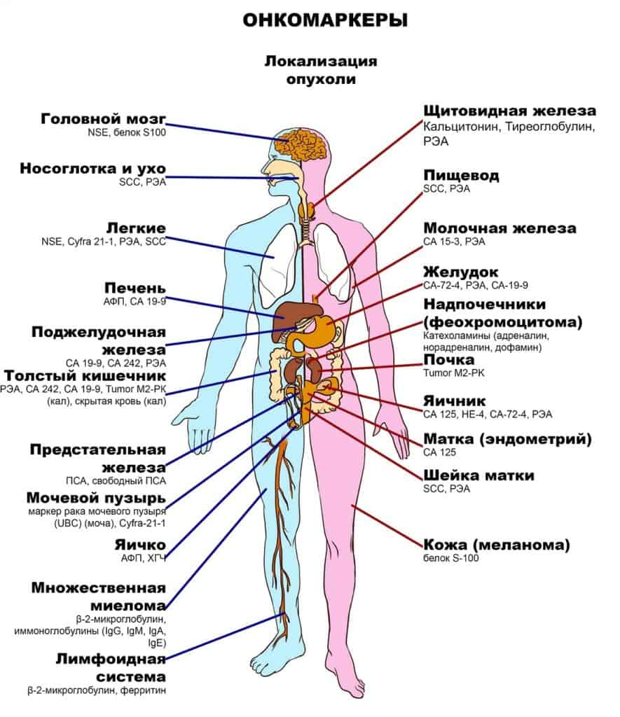 Онкологические маркеры