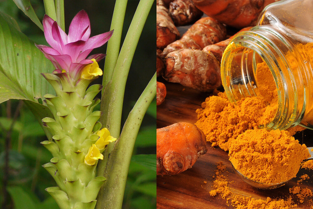 Яндекс картинки 