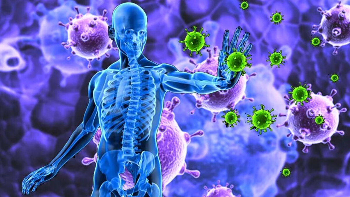 Картинка из свободных источников интернета 