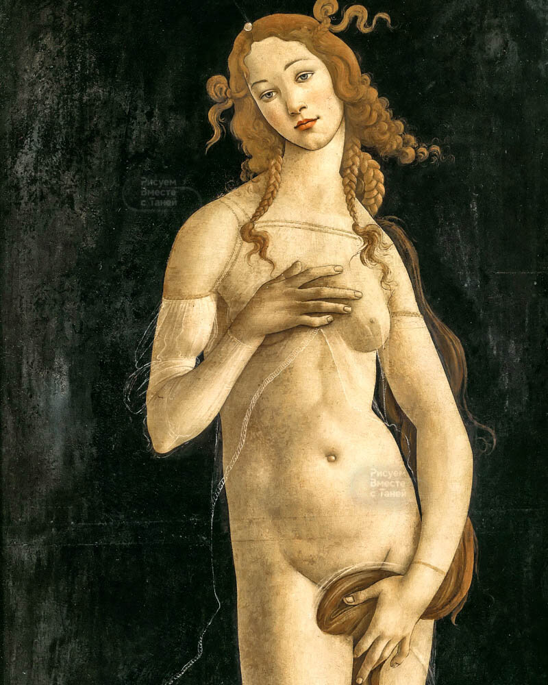 Сандро Боттичелли – Венера Стыдливая (Venus Pudica) 1482