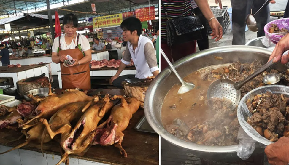 Северная корея собаки. Собачатина на рынке Китая. Рынок собачатины в Корее.