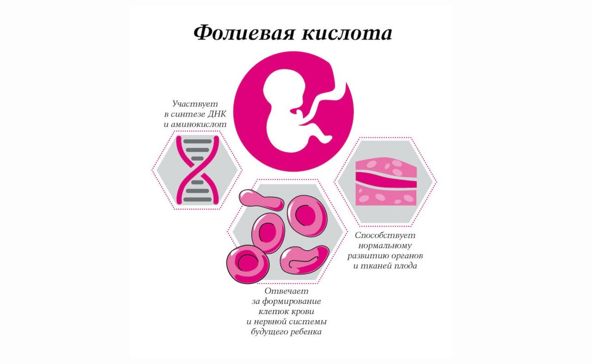 Норма фолиевая кислота у женщины таблица