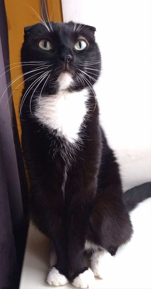 Сурен, рабовладелец и капиталист