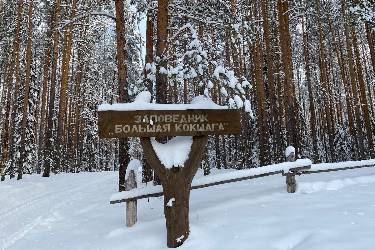 Офис в Йошкар-Оле