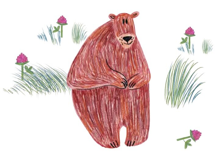 Медведь с Хорошим Аппетитом с комплектов постельного белья DreamUs