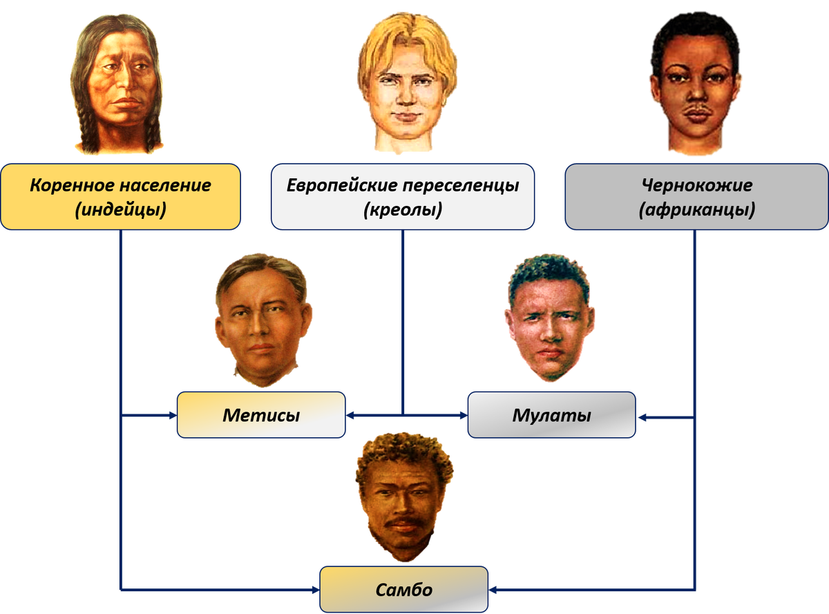 Потомки европейцев в южной америке. Этнический состав населения Латинской Америки. Схема метисы Мулаты креолы. Мулат метис Креол. Расы метисы Мулаты схема.