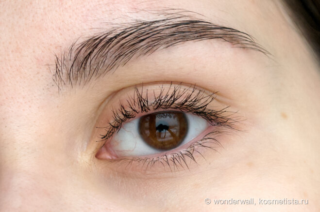 Брюнетки с красивыми бровями. Ресницы зеленые. Пресница. Красивые ресницы. Красивые нарощенные ресницы.