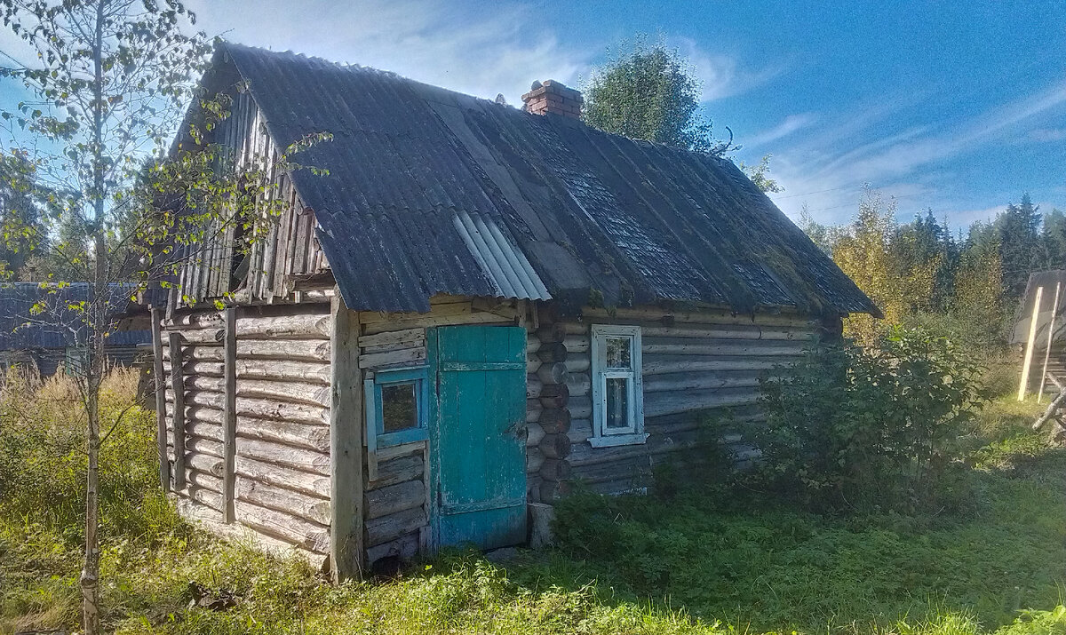 Землю в 5 раз чаще покупают, чем дома | Недвижимость факты и домыслы | Дзен