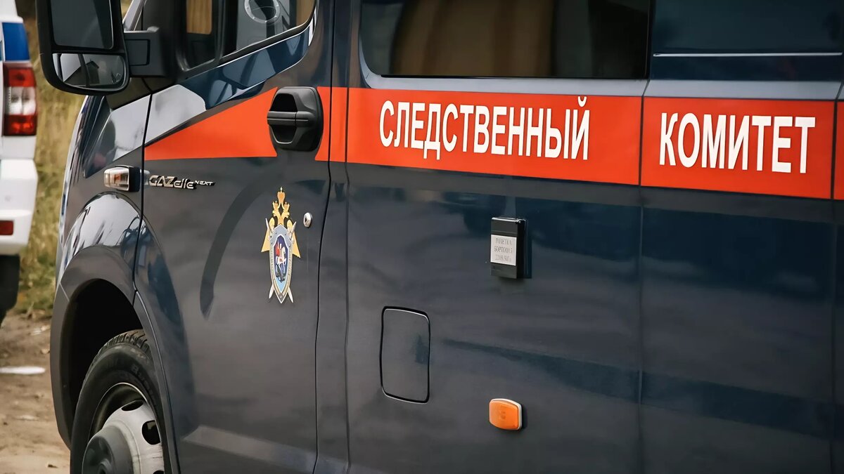     После резонанса в СМИ и соцсетях правоохранители оперативно выявили и задержали почти всех участников банды, нападавшей на белгородцев. В Сети появились видео, на которых предполагаемые нападавшие извиняются «перед всем русским народом», но едва ли этого хватит для закрытия уголовных дел.