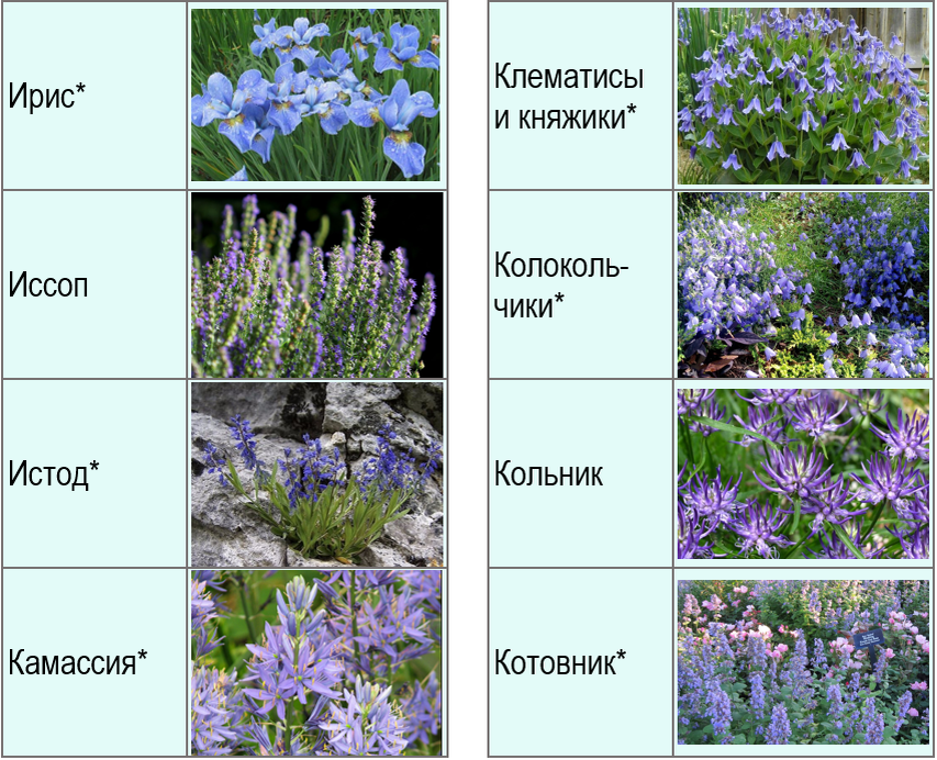 Ка получиттфеолетовый. Как получить сиреневый цвет при смешивании акриловых красок. Синий и фиолетовый цвет что получается. Смешение цветов фиолетовый. Краска синий с фиолетовым смешивать.