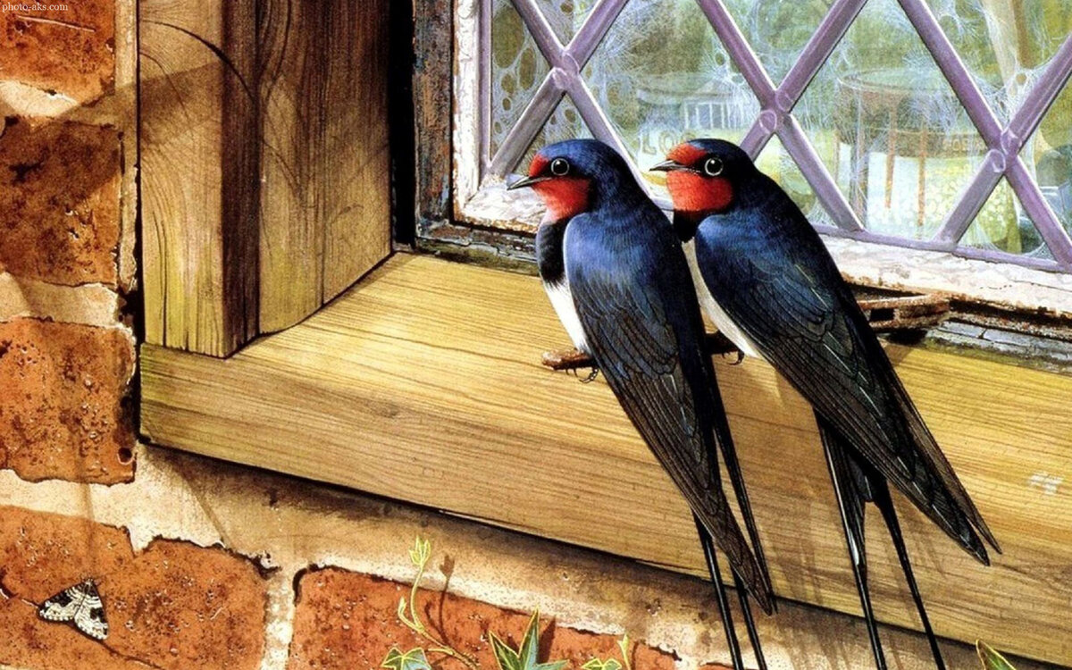 Изображение: catalog-photo.ru