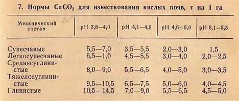 Сколько внести извести в почву осенью. Сколько внести извести в почву осенью. Реакция известкования почвы. Кислотность почвы. Какие почвы требуют известкования?.