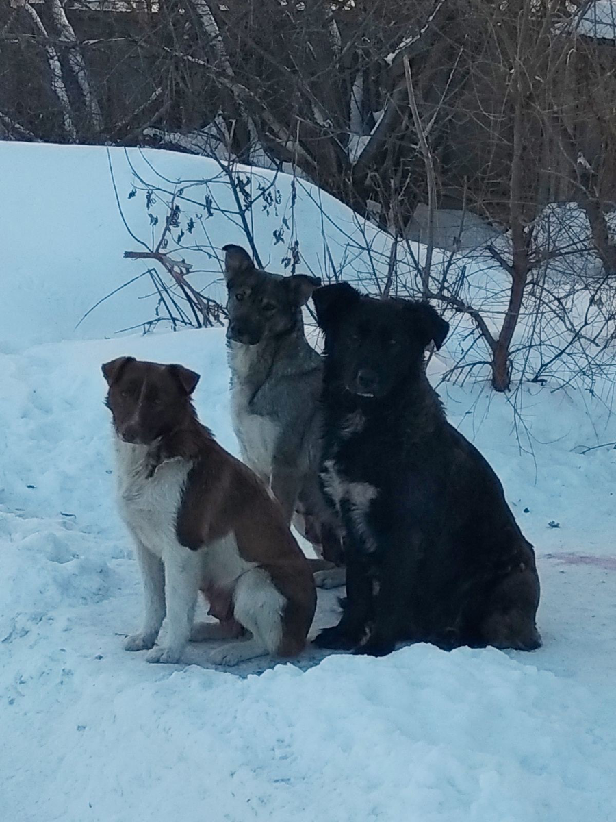 (зима 2021 года)