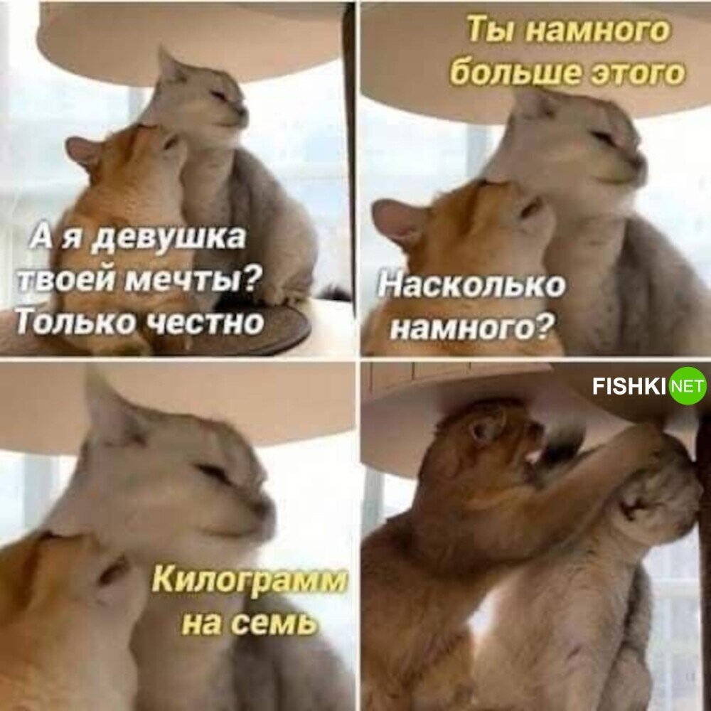 Как изменилось отношение государства. Как изменилось отношение государства