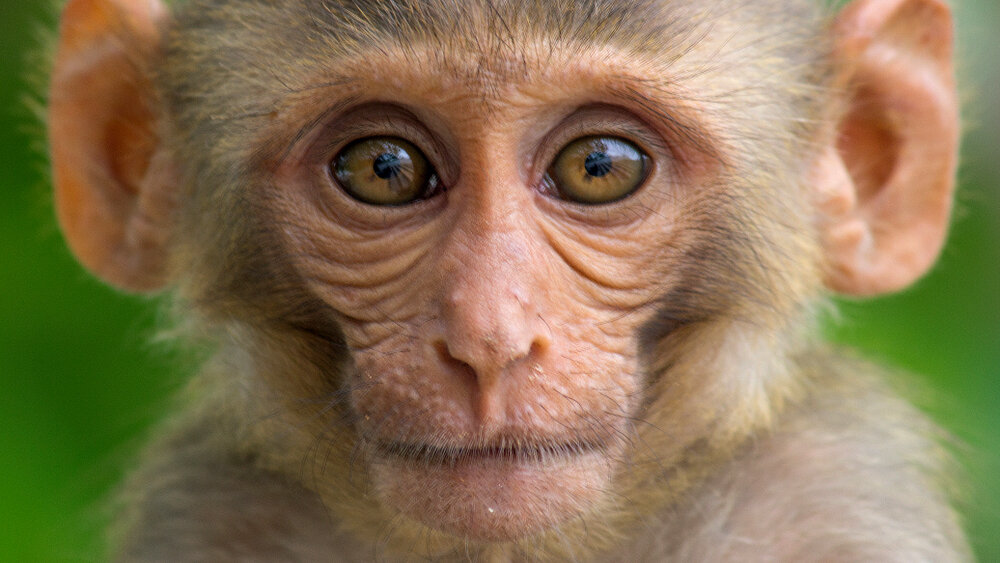    Фото: Shutterstock