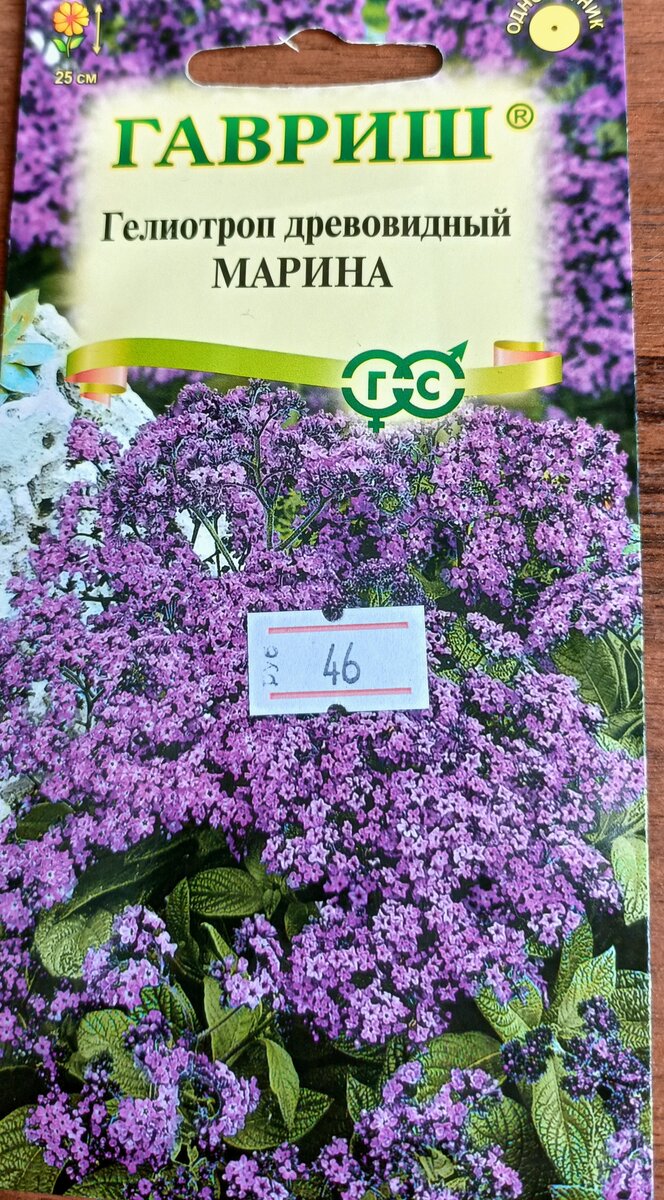 Гелиотроп Марина