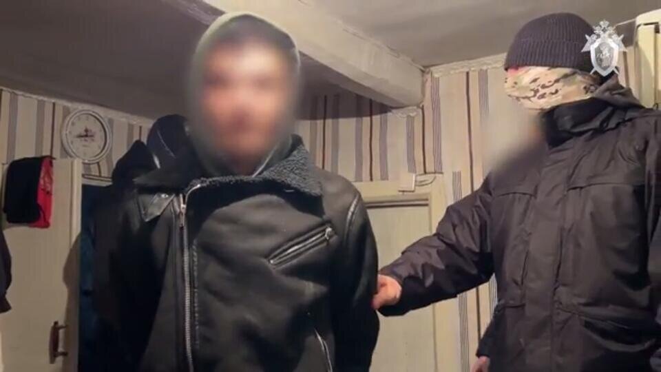 Задержаны пятеро из шести подростков, нападавших на прохожих в ...