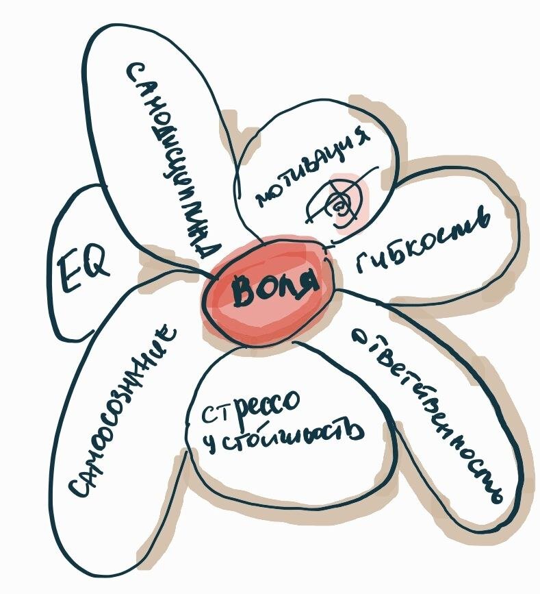 рисунки автора