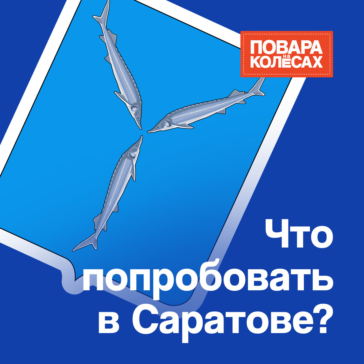 Что попробовать в Саратове? | Повара на колесах | Дзен