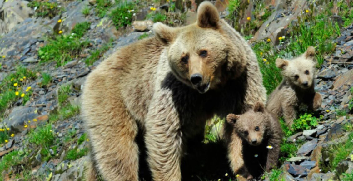    Фото: tuapsevesti.ru