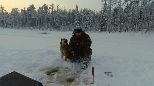 Преступник поймал русалку. Издевательство над девочкой. Их поймали и видео. Их поймали и видео. Михаил тышкивский.