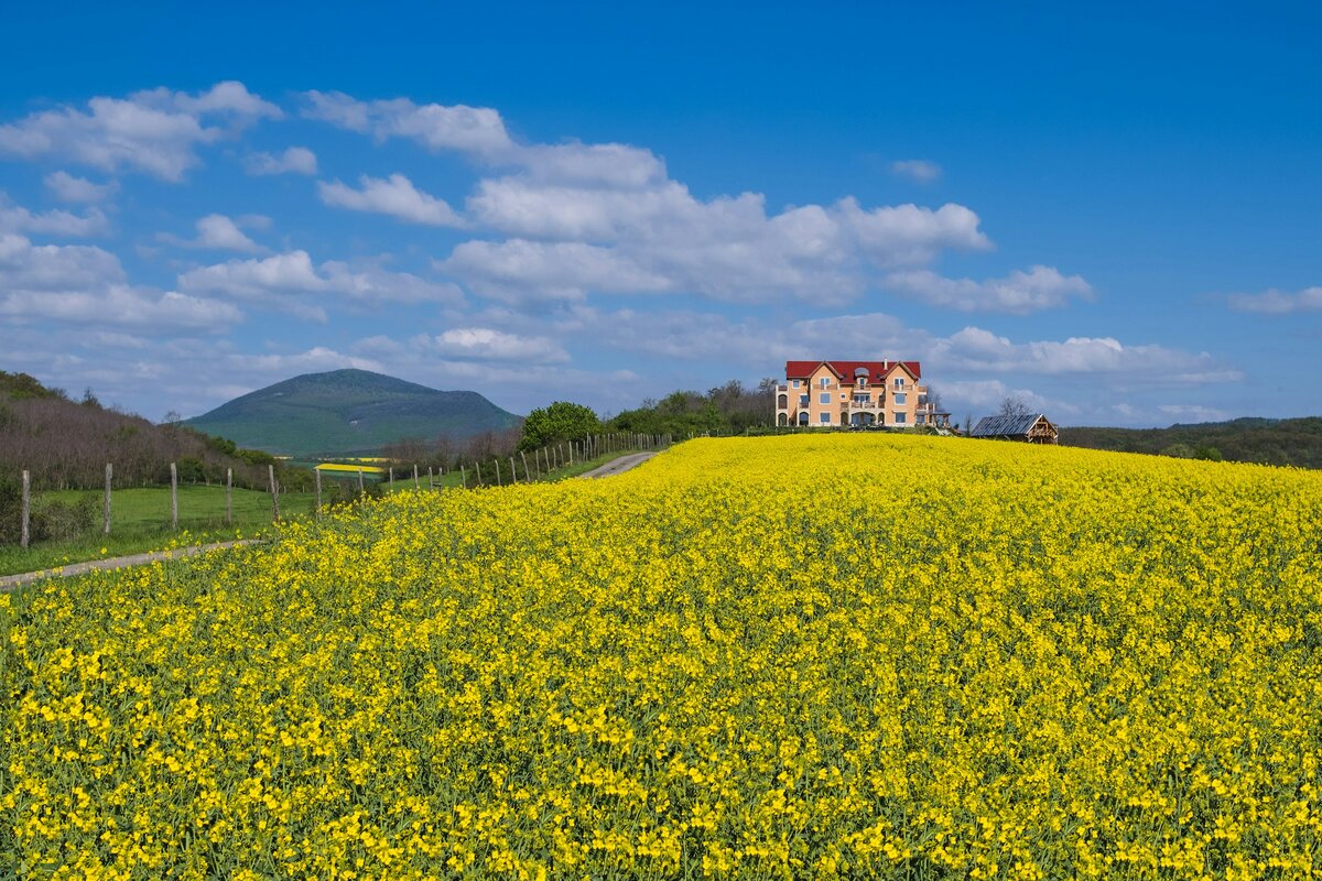Ответы на тестирование. Ответы на тестирование. Умнеем с персиком тесты с ответами. Умнеем с персиком тесты с ответами. Ответ на тест.