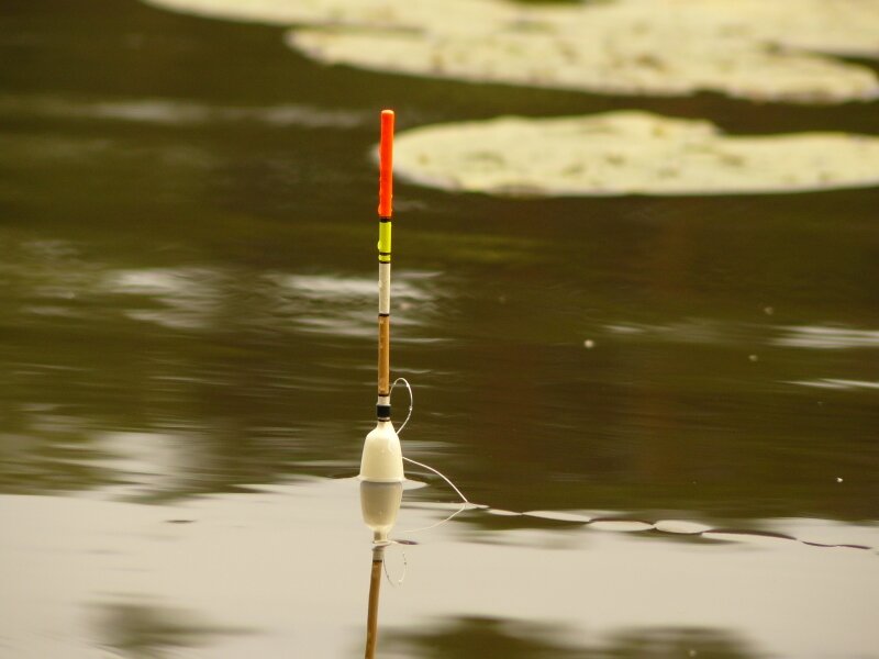 Рыбка попалась