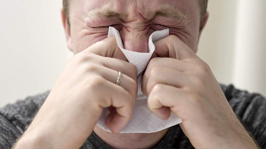 Фото: ТАСС/Кирилл Кухмарь