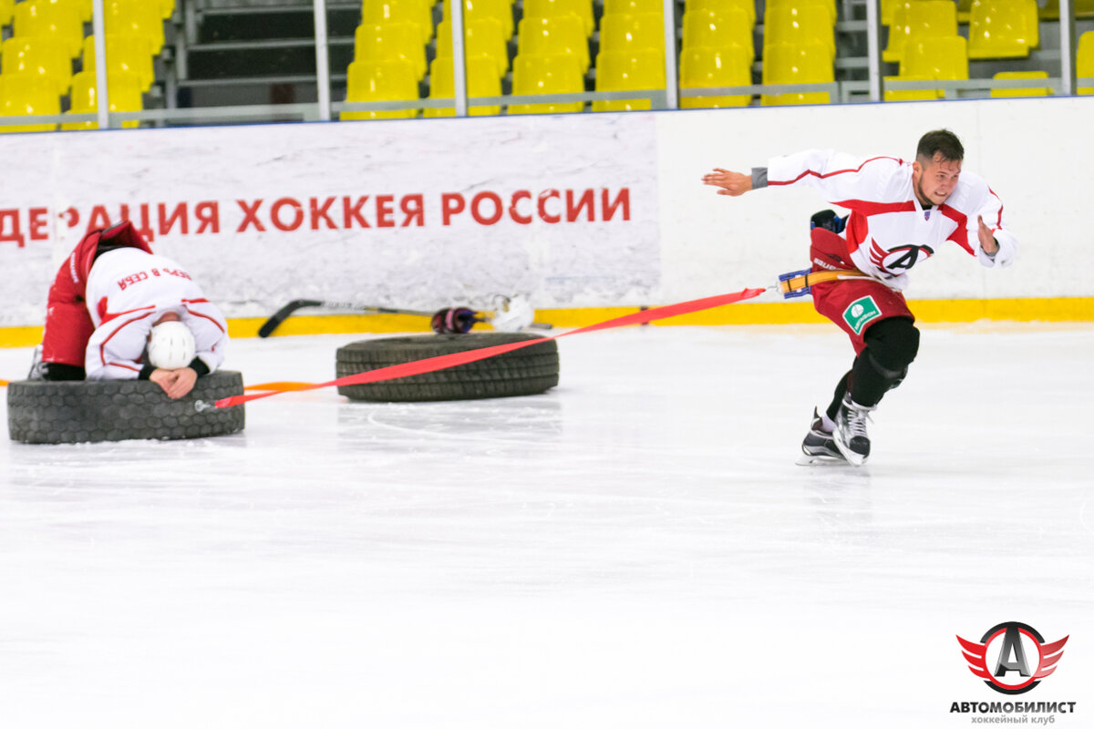 Тем кто любит спорт