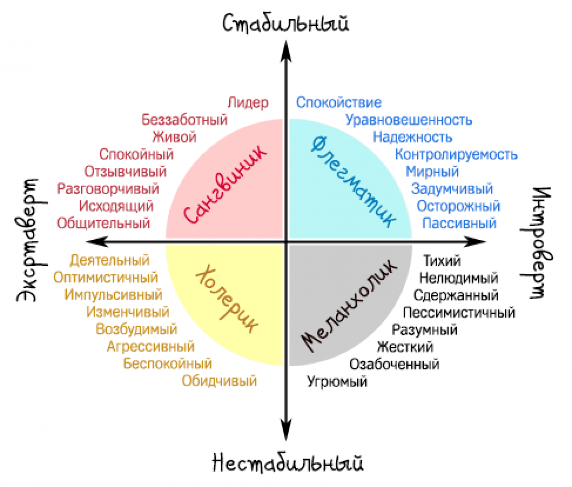 Черты человека обусловленные биологически темперамент