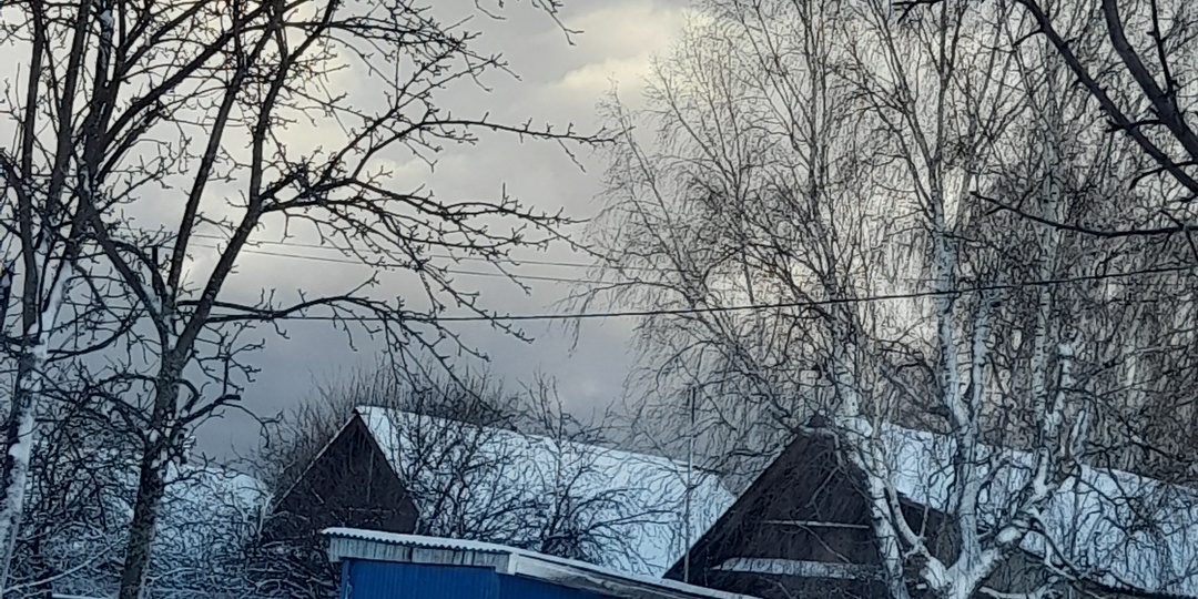 Хроники одного зимнего дня в фотографиях.