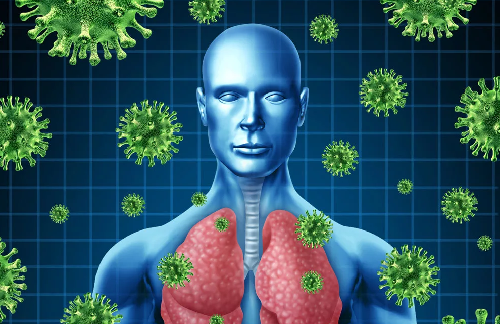 Фото взято из открытых источников